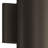 Amo Architectural Bronze DarkSky Approved 1-Light Outdoor Wall Cylinder Light