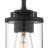 Trimont 1-Light Dimmable Pendant with Clear Glass Shade