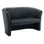 Tub Leather 2 Seater Sofa