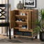 Armoire à chaussures moderne et minimaliste, brun et noir