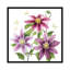 «Clematis Climb II», impression sur toile-28019620-72558204-72558209