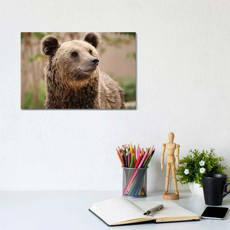 Bears III by Goran Anastasovski - Wrapped Canvas Print, 20.32 cm H x 30.48 cm W