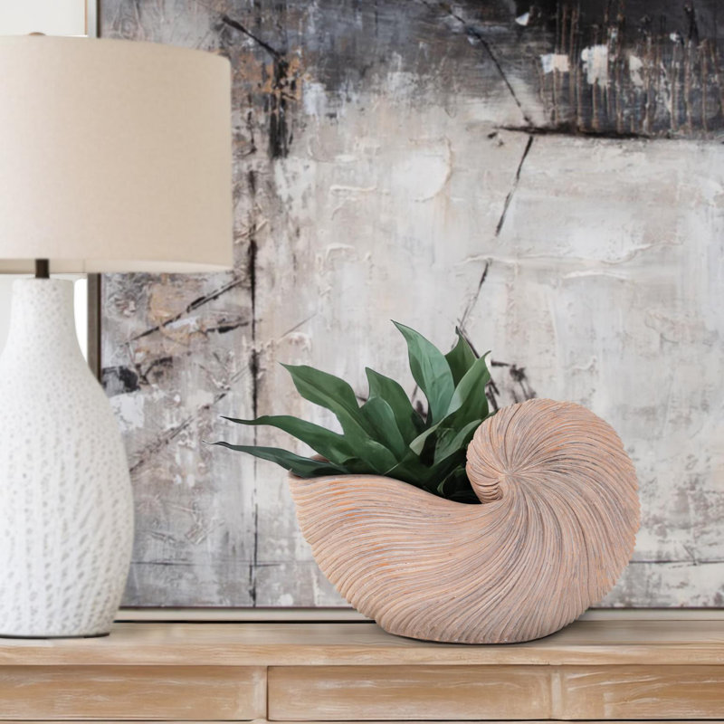 Keaton Nautilus Shell