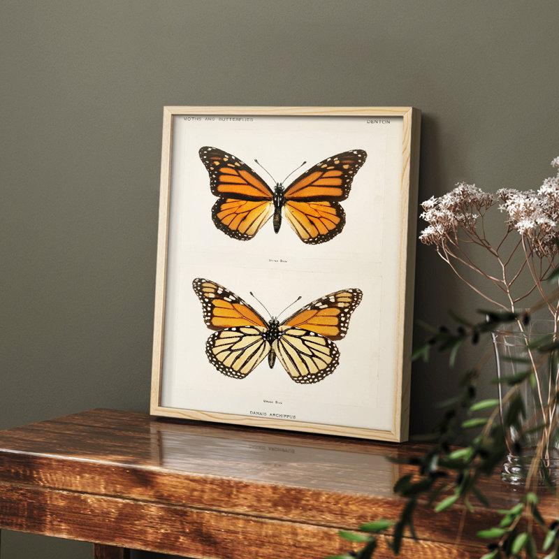 «Vintage Animal Print XXII», reproduction encadrée sur papier, Naturel, H 10 po x l 8 po