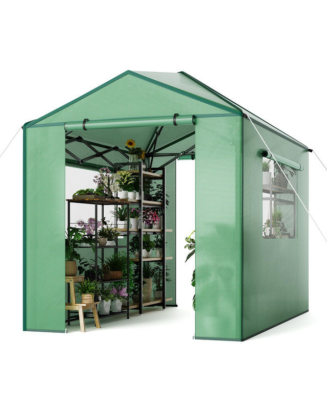 Portable Walk-In Greenhouse 6x8ft – Heavy-Duty Frame with Roll-Up Door & Mesh Windows for Outdoor Plant Growing