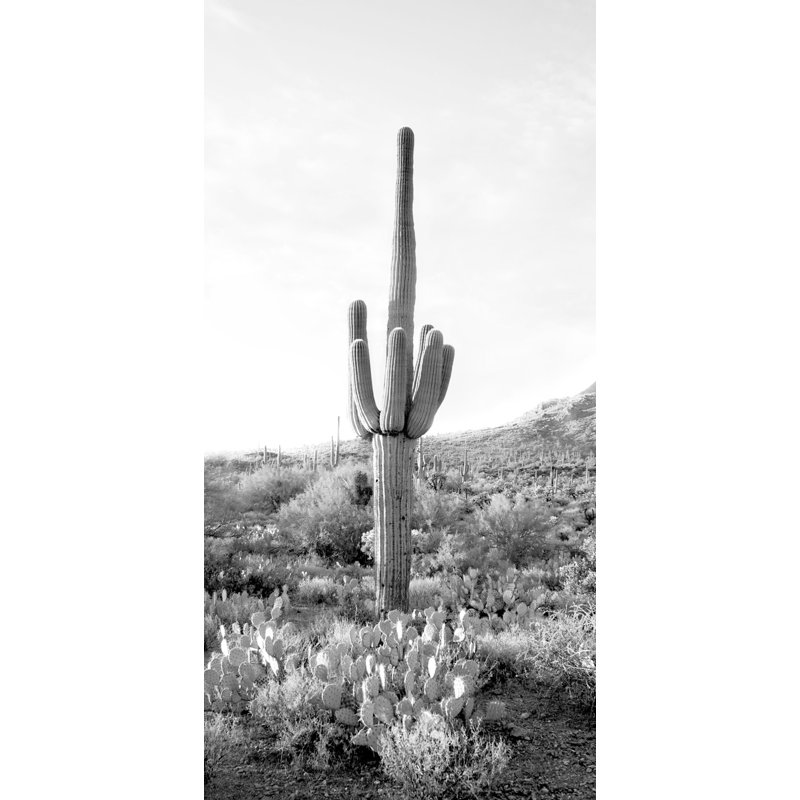 Tall Cactus Print
