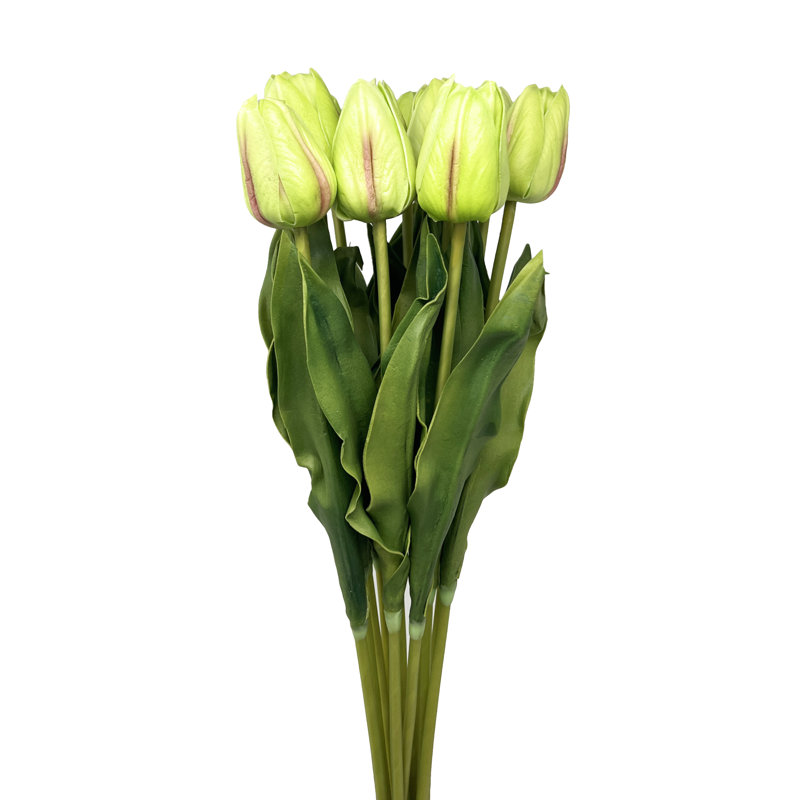 Tulip Arrangement, Green