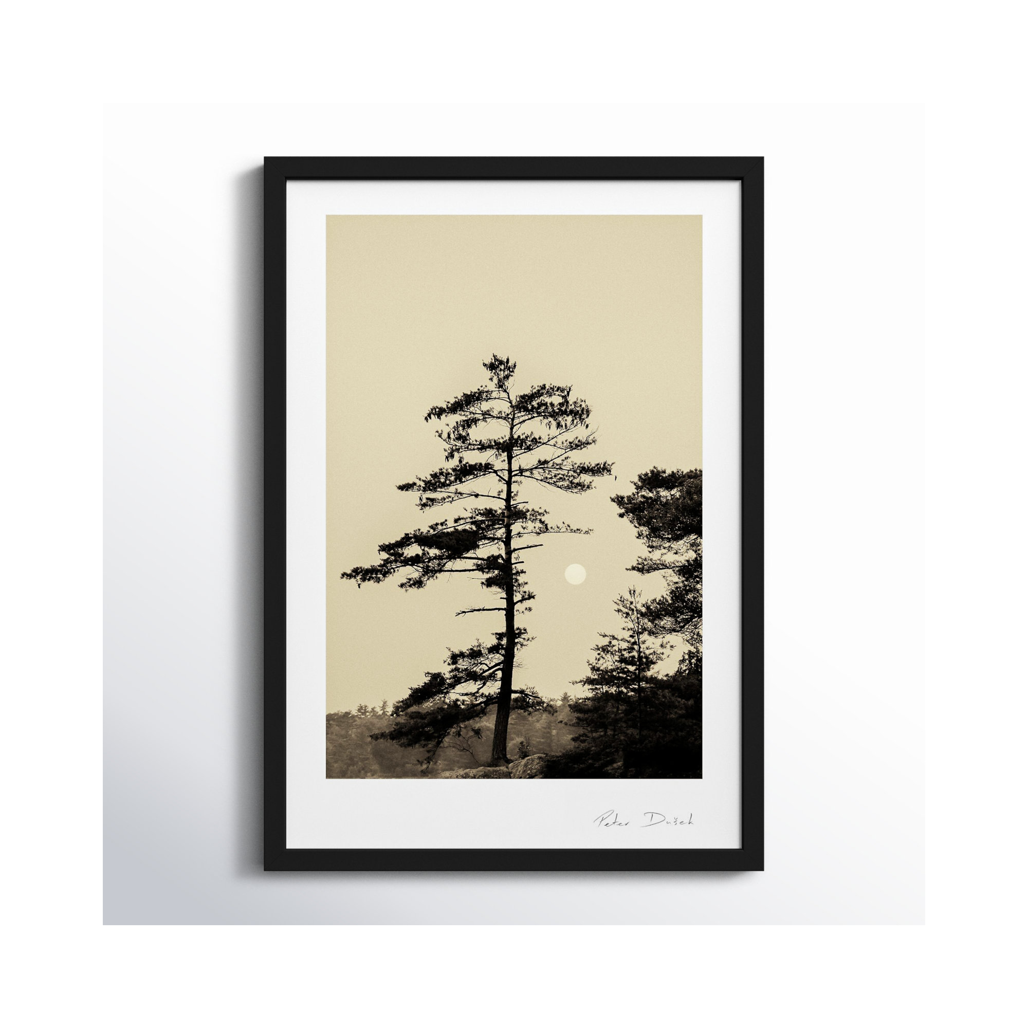 Serenity by Peter Dušek, 25" H x 17.5" W x 1.25" D, Black