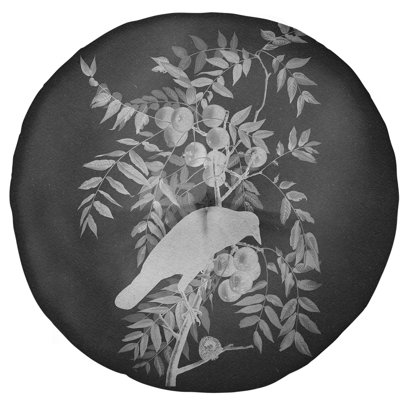 John James Audubon Reversible Throw Pillow