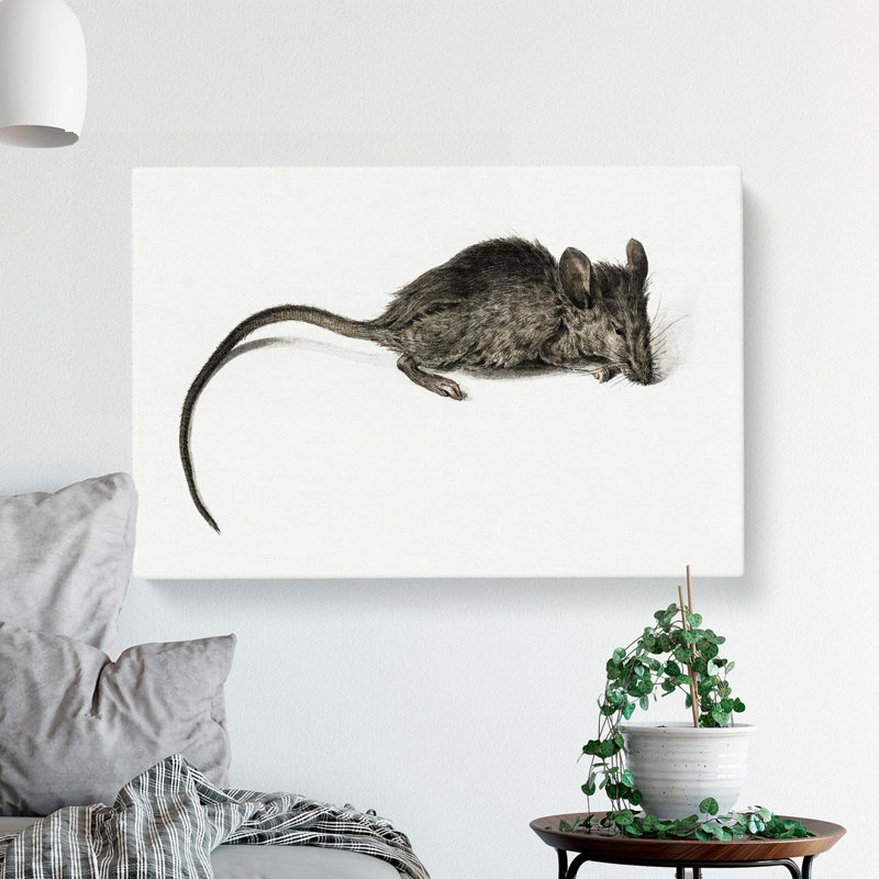 Mouse by Jean Bernard - Wrapped Canvas, 40cm H x 60cm W x 3cm D