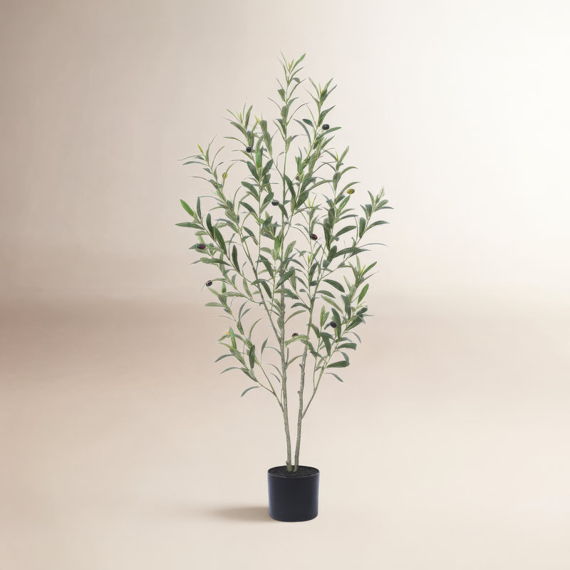 Arbre en plastique artificiel Adcock, H 48 po x l 46 po x P 46 po