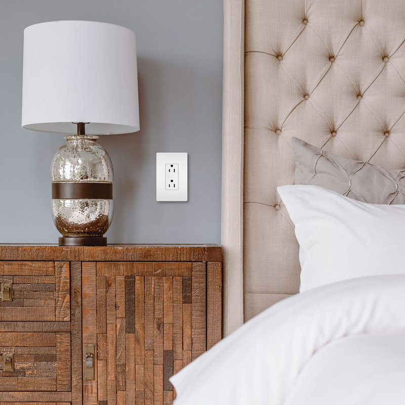 Radiant 15 Amp Decorator Duplex Receptacle Outlet