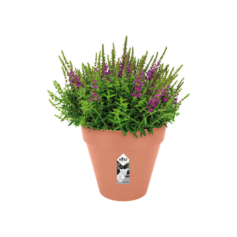 Pot Planter, Delicate Pink, 35.2cm H x 39cm W x 39cm D