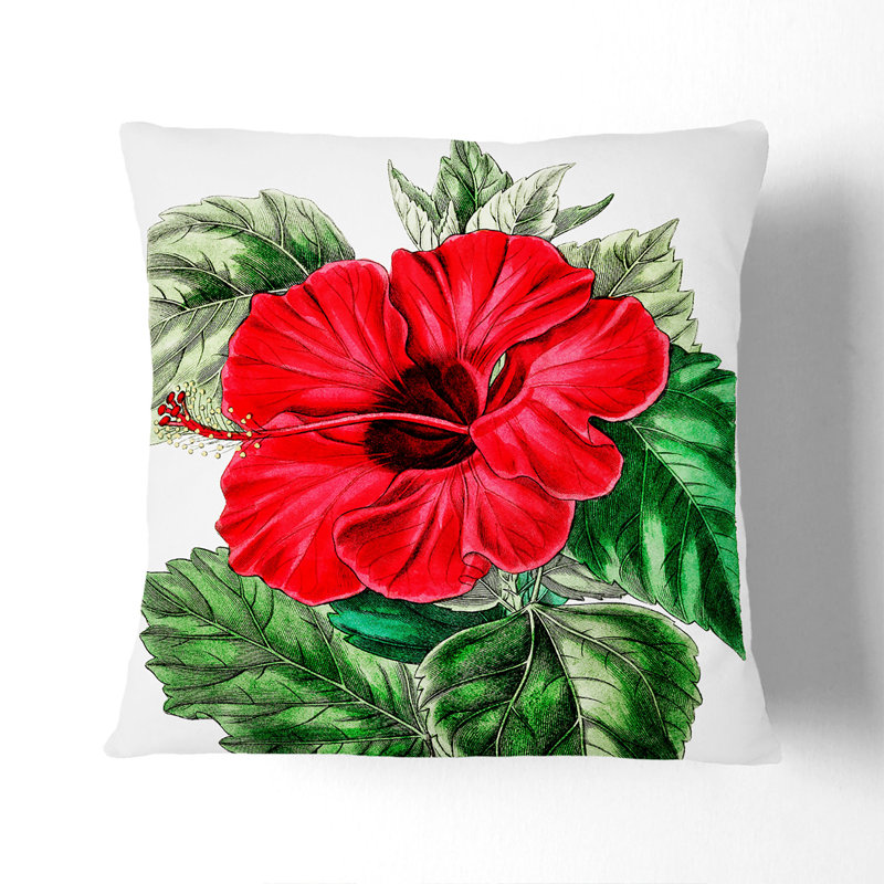 Square Throw Cushion, 55cm H x 55cm W x 20cm D, Black