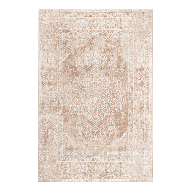 Oriental Indoor Rug, Rectangle 6' x 9'