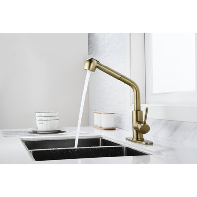 Dual Spray Single Pull-Out Laundry Faucet In Spot Gold Stainless, 360 Rotating High Nozzle, Simple Temperature And Flow Adjustment, Corrosion Surface Function Sink Water Easy To , Rust Design