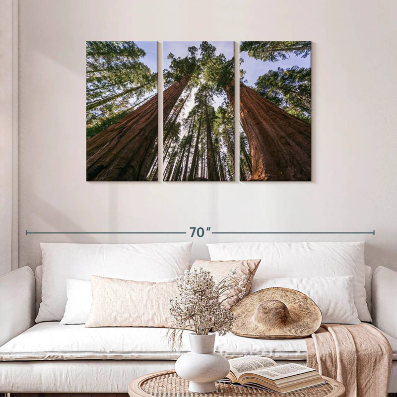 Sequoias From Below, 28" H x 45" W
