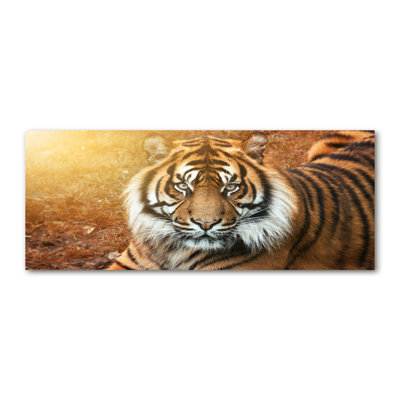 Bengal Tiger - No Frame Print on Canvas