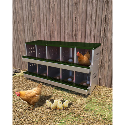 6.84m² Chicken Coop