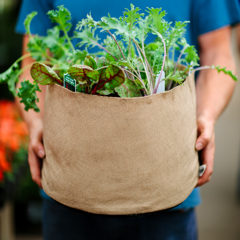 Jardinière en tissu Smart Pot®, 9,5 x 12 x 12, Naturel