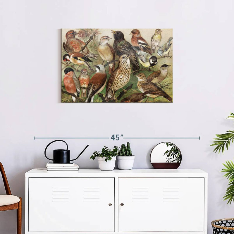 Brampt Botanical Birds Collection I, 20" H x 30" W