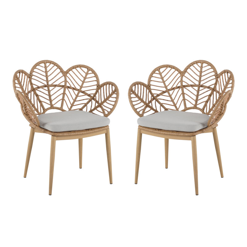 Ensemble de 2 chaises d'extérieur paon en osier avec pattes en teck, brun clair et beige Roomfitter Kirk