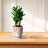 8" Striped Ceramic Flowerpots, Of 2 With Drainage Hole. All - Weather For Patio, Garden, Windowsill, Functional Modern Flowerpots In White, Ideal Windowsill. Weather, ,-1955219836