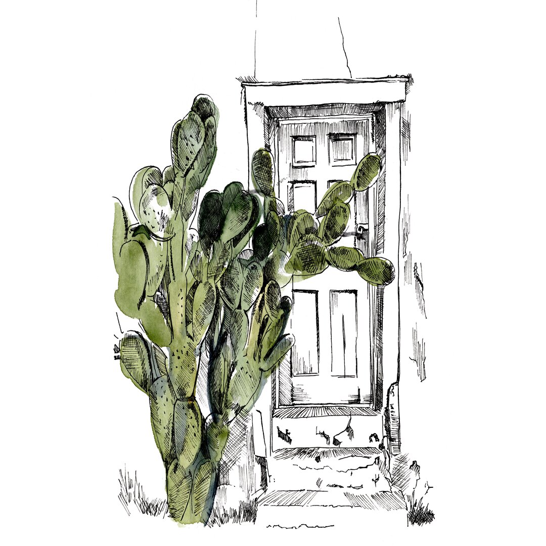 Leinwandbild Cactus Door III von Jennifer Paxton Parker