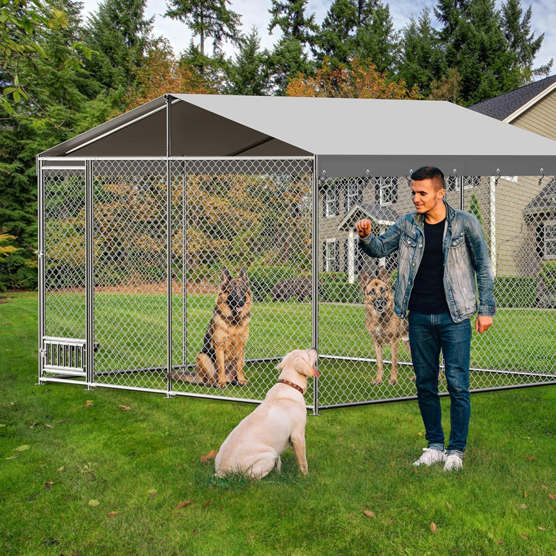 Dog House