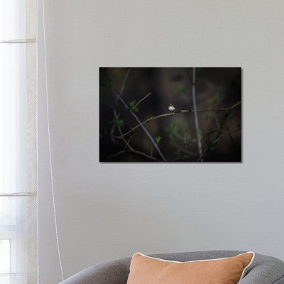 Glimmer by Mateusz Piesiak - Wrapped Canvas Print