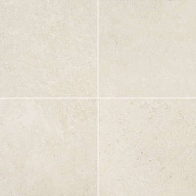 Carrelage de sol en porcelaine mate 24 po x 24 po Westvale Shell
