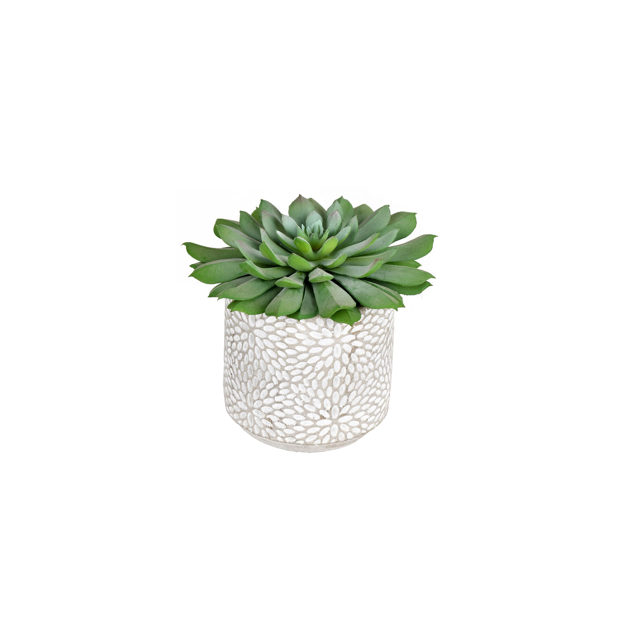 6'' Faux Succulent in Cement Pot