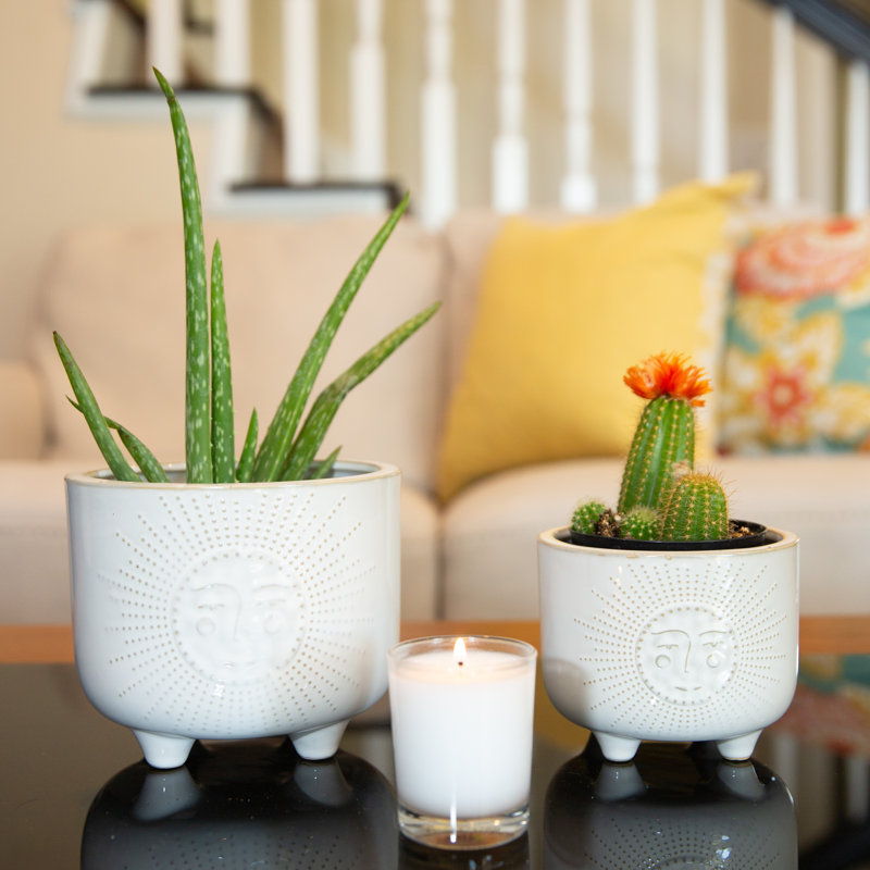 Handmade Ceramic Pot Planter