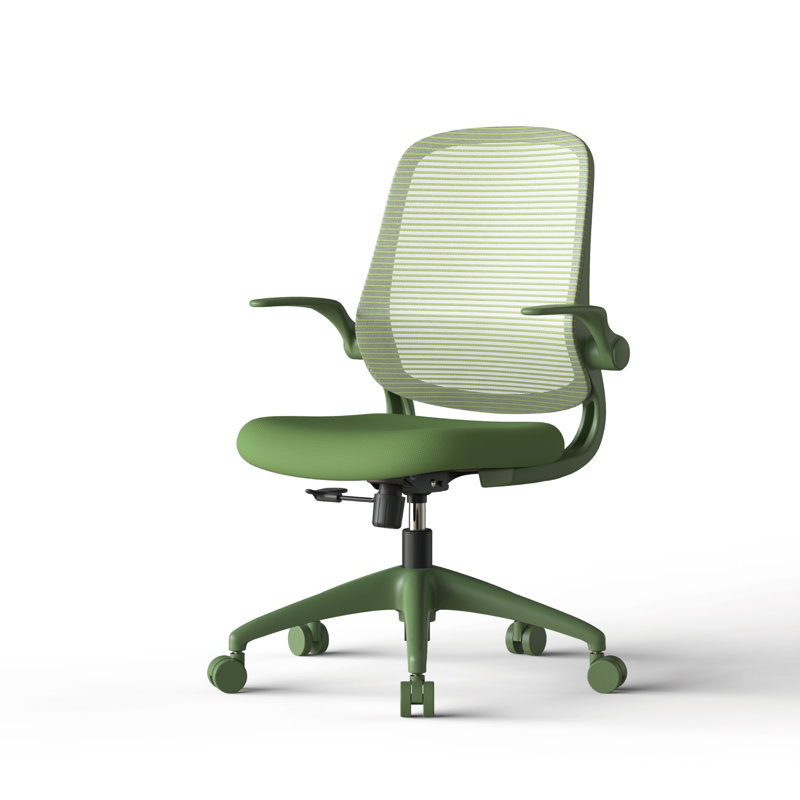 Chaise de bureau ergonomique ergonomique, Vert, Vert