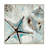 Print-616735094