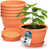 Pottery Red