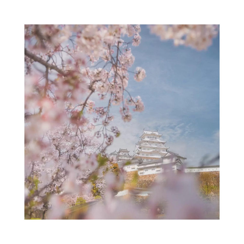 Spring In Japan VIII by Daniel Kordan - Wrapped Canvas Print, 30.48 cm H x 30.48 cm W