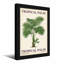 Plantes et fleurs, motif de palmier tropical-653851201-653851202-653851203