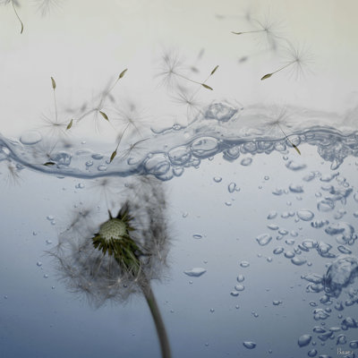 " Underwater 2 " by Parvez Taj