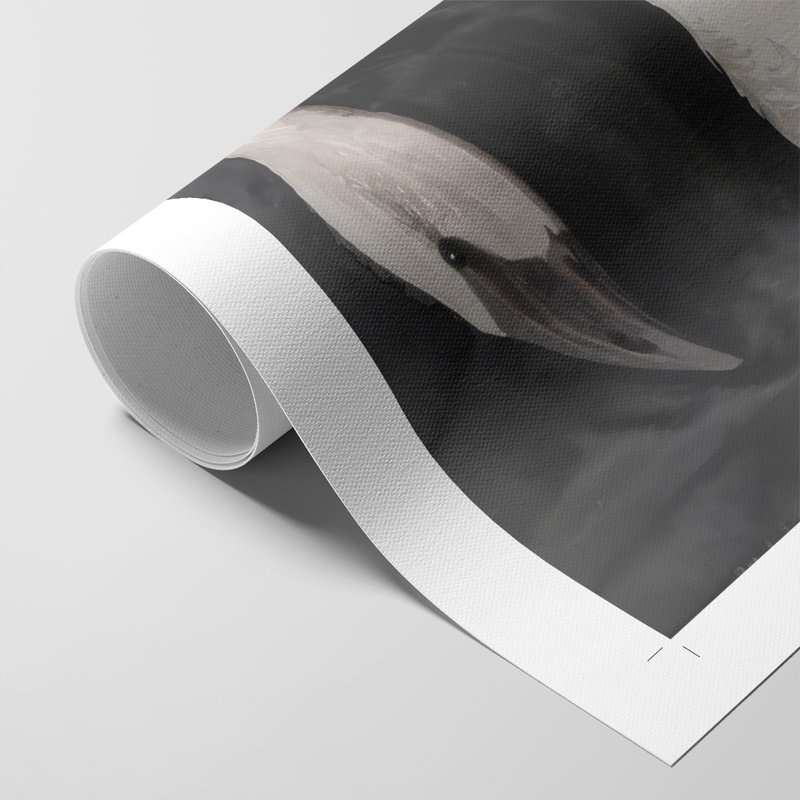 Swan Dance II -Canvas Print Only - NOT FRAMED, 60" H x 40" W