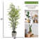 72'' Faux Bamboo Tree in Ecopaper Pot Liner