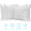 Insert de coussin extérieur Hartsburg-144810906