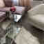 Photos des clients 5 de 5