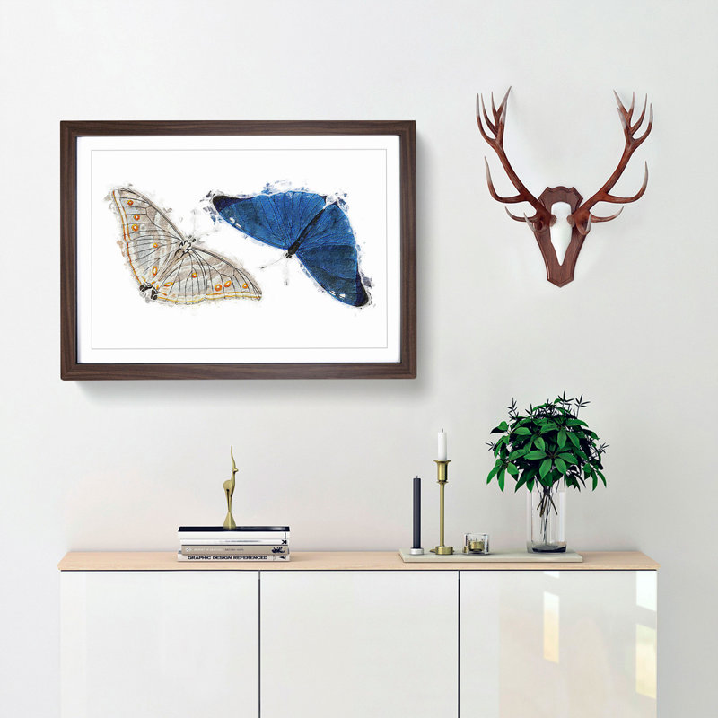 Adonis Butterfly by George Shaw - Single Picture Frame Painting, 24cm H x 33cm W x 2cm D, Walnut Framed