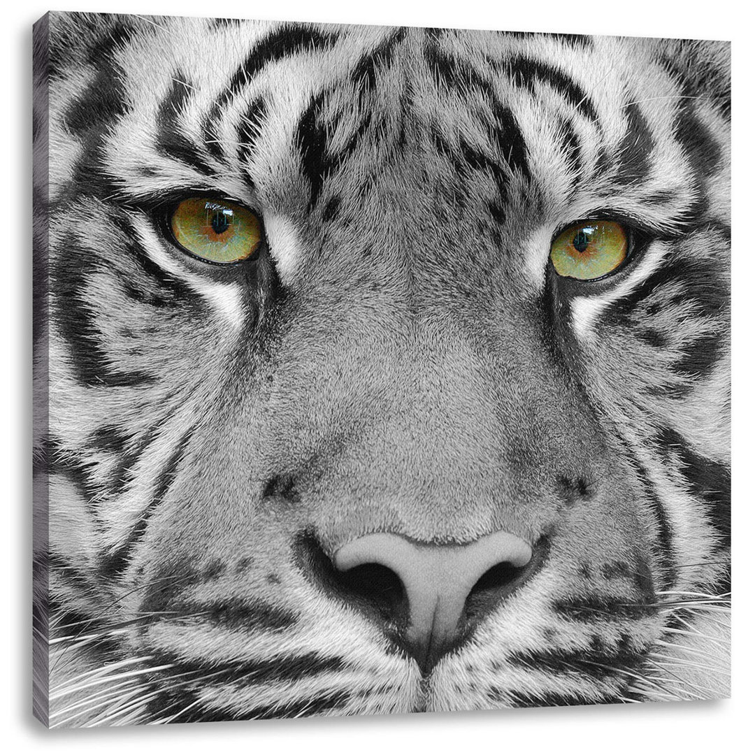 Leinwandbild Close up Sumatra Tiger B&W Detail