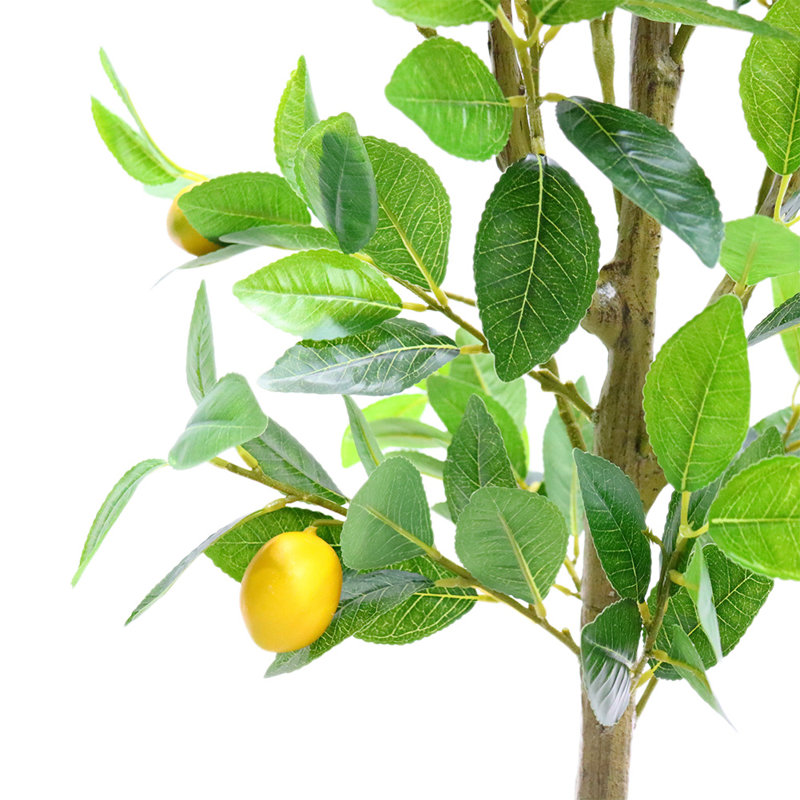 150cm Plant
