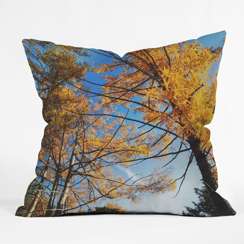 Coussin The Autumn Sky, 16 po x 16 po