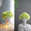 2 pièces Pot à fleurs pour plantes d'intérieur
