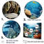 " Under Water Marine Reef Dream "-1680213393-1680213392