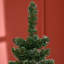 5.41' H Artificial Christmas Tree